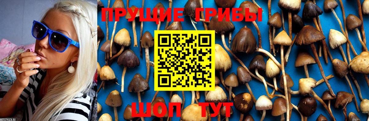 Галлюциногенные грибы MAGIC MUSHROOMS Муром