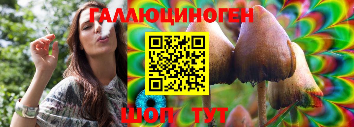 Галлюциногенные грибы мухоморы  Галлюциногенные грибы Psilocybe  Вход с VPN  Муром 